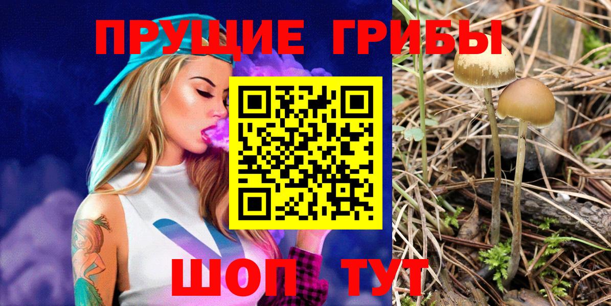 Псилоцибиновые грибы мицелий Юрга