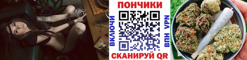Каннабис план закладка Юрга